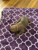 processed/9e46aba9-2fba-471e-b4ad-cfd410305e7f/listing/bbb6d414-22fa-4900-bfeb-aab008e2a834/e48113f9-a98b-43e2-a1fa-af5bca5c7c14