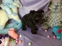 processed/9e4d124f-f7bf-4157-b984-68f711c7ba09/listing/841f11ec-a282-4710-b348-d70fa18c2806/a8501b82-cf97-4492-862a-c2156ddebd28