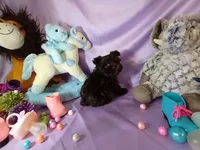 processed/9e4d124f-f7bf-4157-b984-68f711c7ba09/listing/841f11ec-a282-4710-b348-d70fa18c2806/c34c4425-19c9-4903-9dea-91a26e284f1a