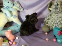 processed/9e4d124f-f7bf-4157-b984-68f711c7ba09/listing/841f11ec-a282-4710-b348-d70fa18c2806/ee4d76f5-70d7-434b-b034-9eb71d6b2f17