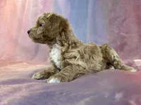 processed/9e52ed2b-da21-46fa-996b-ef8825d02374/listing/1f8adaa6-1055-45f4-93bd-53af4be707ce/069d63d0-f926-4070-b78c-9465346d6b61