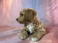 processed/9e52ed2b-da21-46fa-996b-ef8825d02374/listing/1f8adaa6-1055-45f4-93bd-53af4be707ce/929699ef-608f-492b-aac3-4f5d1fbbaefc