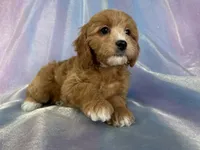 processed/9e52ed2b-da21-46fa-996b-ef8825d02374/listing/23e44b74-96d0-427f-ac06-d0fa34ca1a47/496c049c-c051-4414-9b9a-210b20db5e2a