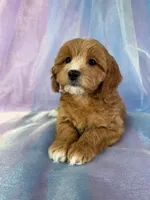 processed/9e52ed2b-da21-46fa-996b-ef8825d02374/listing/23e44b74-96d0-427f-ac06-d0fa34ca1a47/abb86f55-dc7f-426c-b297-701cc4803865