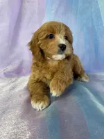 processed/9e52ed2b-da21-46fa-996b-ef8825d02374/listing/23e44b74-96d0-427f-ac06-d0fa34ca1a47/bad5fb05-e3f2-4068-9176-8ad8f1af1730