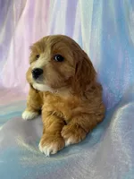 processed/9e52ed2b-da21-46fa-996b-ef8825d02374/listing/23e44b74-96d0-427f-ac06-d0fa34ca1a47/f75b7bad-84bb-402c-9ff1-25e382aec4a5