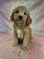 processed/9e52ed2b-da21-46fa-996b-ef8825d02374/listing/3fa05ca8-190c-4eda-9b8f-283466aa5d7b/1df8ac38-cc52-4e07-9913-d6293291b5c0