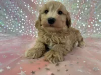 processed/9e52ed2b-da21-46fa-996b-ef8825d02374/listing/3fa05ca8-190c-4eda-9b8f-283466aa5d7b/2f8a94dc-47ac-4cfe-a66f-2a97c9fc5b15