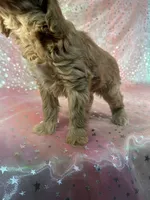 processed/9e52ed2b-da21-46fa-996b-ef8825d02374/listing/3fa05ca8-190c-4eda-9b8f-283466aa5d7b/8b4d1eb9-d964-4792-9766-4c39213c5e60