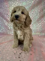 processed/9e52ed2b-da21-46fa-996b-ef8825d02374/listing/3fa05ca8-190c-4eda-9b8f-283466aa5d7b/e3266abe-54d6-408b-814c-8bcf2a1c7bb6