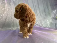 processed/9e52ed2b-da21-46fa-996b-ef8825d02374/listing/41567e3f-a8ec-4729-a012-ad3d64c30f12/69f12d88-b273-47fa-a18b-60c662189e40