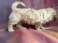 processed/9e52ed2b-da21-46fa-996b-ef8825d02374/listing/43b758dd-ed5f-4311-af5e-520a027ef3b9/5a329893-b78d-4549-b28e-365d603264fe