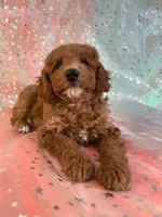 processed/9e52ed2b-da21-46fa-996b-ef8825d02374/listing/58c4997e-9e31-4aca-b1a4-8e9c53bac966/1fbaeb92-6534-4ca2-b5a6-b56b3a2416eb