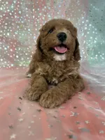 processed/9e52ed2b-da21-46fa-996b-ef8825d02374/listing/58c4997e-9e31-4aca-b1a4-8e9c53bac966/94acd2fb-076a-42bd-940f-ca32a2865c77