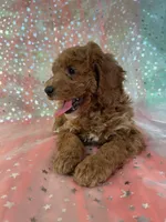 processed/9e52ed2b-da21-46fa-996b-ef8825d02374/listing/58c4997e-9e31-4aca-b1a4-8e9c53bac966/ae3322a0-b88d-4984-bb01-2d769776515a