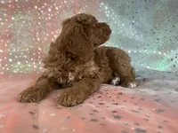 processed/9e52ed2b-da21-46fa-996b-ef8825d02374/listing/58c4997e-9e31-4aca-b1a4-8e9c53bac966/ead12523-78e9-4198-b07f-8144f4728f4f