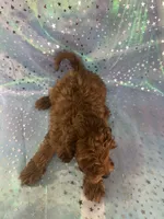 processed/9e52ed2b-da21-46fa-996b-ef8825d02374/listing/5ebfa10d-064c-4456-9a36-5b8025b9517e/e0d317e3-dae4-42fc-a17b-4f0b4a8fcd89