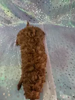 processed/9e52ed2b-da21-46fa-996b-ef8825d02374/listing/8be5b684-e6ab-4210-8229-8d252877da30/73a5d69e-7d4b-455d-9111-84d051f29083