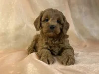 processed/9e52ed2b-da21-46fa-996b-ef8825d02374/listing/ac0d39e9-6ee9-4a0e-a3f4-1ae617b902a1/826b9ad3-14cc-497d-b216-46c04073dadd