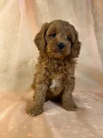 processed/9e52ed2b-da21-46fa-996b-ef8825d02374/listing/ac0d39e9-6ee9-4a0e-a3f4-1ae617b902a1/e719eedb-dd94-45b4-8e23-c5bba8e86304