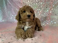 processed/9e52ed2b-da21-46fa-996b-ef8825d02374/listing/bdbec85f-afb9-4936-becd-5974073964e7/16be5539-b8f1-45de-9571-09a67f77de3c