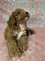 processed/9e52ed2b-da21-46fa-996b-ef8825d02374/listing/bdbec85f-afb9-4936-becd-5974073964e7/bf669b85-923b-4fc5-a1d5-775c9768067d