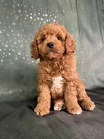 processed/9e52ed2b-da21-46fa-996b-ef8825d02374/listing/d128220e-56b1-4f7d-9d4f-72457f7e72bd/7aace5f7-3a47-4967-afed-f9c2b21d0fa8