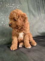 processed/9e52ed2b-da21-46fa-996b-ef8825d02374/listing/d128220e-56b1-4f7d-9d4f-72457f7e72bd/982e2de2-3471-4e03-8482-194ed0bbe403