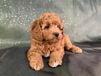 processed/9e52ed2b-da21-46fa-996b-ef8825d02374/listing/d128220e-56b1-4f7d-9d4f-72457f7e72bd/d0856238-3be5-4503-80d1-bfae1e0ab522