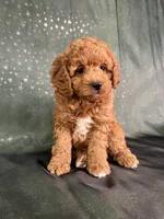 processed/9e52ed2b-da21-46fa-996b-ef8825d02374/listing/d128220e-56b1-4f7d-9d4f-72457f7e72bd/fa04bb99-6475-4a2c-9ea1-221dd3a9001b