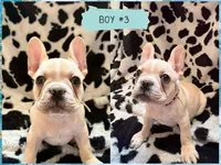 processed/9e5ea0f3-36eb-48a1-bf6b-029df3c015c4/facility/a98002c5-f7e1-4735-856a-260cc3c291b8