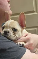 processed/9e5ea0f3-36eb-48a1-bf6b-029df3c015c4/facility/cc07ddbb-33e2-4a6a-bae7-2753f4ca56fc