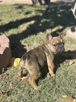 processed/9e65b54c-083e-4e76-ac5c-607d4738f51c/listing/35d2a967-e67f-4e4c-851b-ec78a983c1ee/0b7741de-5f1c-4566-8108-530eef213de5