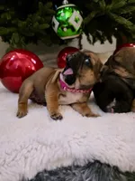 processed/9e65b54c-083e-4e76-ac5c-607d4738f51c/listing/35d2a967-e67f-4e4c-851b-ec78a983c1ee/1c1bc087-b3da-4296-a867-8c8fe7a729e8