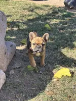 processed/9e65b54c-083e-4e76-ac5c-607d4738f51c/listing/35d2a967-e67f-4e4c-851b-ec78a983c1ee/46852844-c5ec-4eb0-871b-b5504148ceed