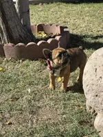 processed/9e65b54c-083e-4e76-ac5c-607d4738f51c/listing/35d2a967-e67f-4e4c-851b-ec78a983c1ee/4fd5169f-21eb-404f-95ea-020bfeb364ab