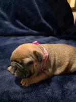 processed/9e65b54c-083e-4e76-ac5c-607d4738f51c/listing/35d2a967-e67f-4e4c-851b-ec78a983c1ee/88596526-9fa2-4176-b076-4899cff528ca