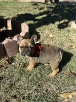 processed/9e65b54c-083e-4e76-ac5c-607d4738f51c/listing/35d2a967-e67f-4e4c-851b-ec78a983c1ee/e1bb2984-a131-4147-b7b6-5eace7ff1daf