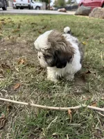 processed/9e65b54c-083e-4e76-ac5c-607d4738f51c/listing/6967f7bf-07af-4012-9765-18097f52032b/6206d09d-9d5a-41ed-865e-d322a9802104