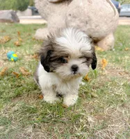 processed/9e65b54c-083e-4e76-ac5c-607d4738f51c/listing/6967f7bf-07af-4012-9765-18097f52032b/a1a3fd8f-d4e0-4556-a070-bfac4a0da22a