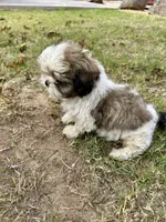 processed/9e65b54c-083e-4e76-ac5c-607d4738f51c/listing/6967f7bf-07af-4012-9765-18097f52032b/d601440e-59ac-4ead-b49f-0e165c0ab8bc