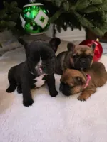 processed/9e65b54c-083e-4e76-ac5c-607d4738f51c/listing/8a29fe2d-1576-4ab0-ad0d-3c7e1fb0e2e7/5c0203e5-3e9b-444a-94a7-5e251604a598