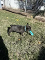 processed/9e65b54c-083e-4e76-ac5c-607d4738f51c/listing/8a29fe2d-1576-4ab0-ad0d-3c7e1fb0e2e7/687f48b5-661c-46f8-9a69-7bdf4732759f