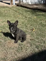 processed/9e65b54c-083e-4e76-ac5c-607d4738f51c/listing/8a29fe2d-1576-4ab0-ad0d-3c7e1fb0e2e7/97342800-d34d-47ef-b8c9-a99e70d1a5bf