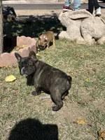 processed/9e65b54c-083e-4e76-ac5c-607d4738f51c/listing/8a29fe2d-1576-4ab0-ad0d-3c7e1fb0e2e7/9afb40aa-014b-4dfd-87f7-7ed9db162a78