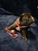 processed/9e65b54c-083e-4e76-ac5c-607d4738f51c/listing/8a29fe2d-1576-4ab0-ad0d-3c7e1fb0e2e7/b91c0df3-0980-429a-b4c7-7fbe3a549897