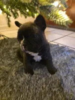 processed/9e65b54c-083e-4e76-ac5c-607d4738f51c/listing/8a29fe2d-1576-4ab0-ad0d-3c7e1fb0e2e7/f10904bd-de71-46d1-befe-70648987e9a9