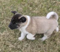 processed/9e681773-df15-4989-8c41-8322b5373e72/listing/38c7fabf-2178-497a-ab26-431889f77103/01487398-56ea-419b-9f34-793e372c7c05