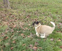 processed/9e681773-df15-4989-8c41-8322b5373e72/listing/38c7fabf-2178-497a-ab26-431889f77103/d683e1cf-4105-4493-8039-7af332063697