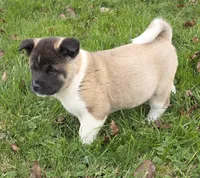 processed/9e681773-df15-4989-8c41-8322b5373e72/listing/38c7fabf-2178-497a-ab26-431889f77103/fafc78ad-8530-49fd-aa5c-bb4cf51aa9e9